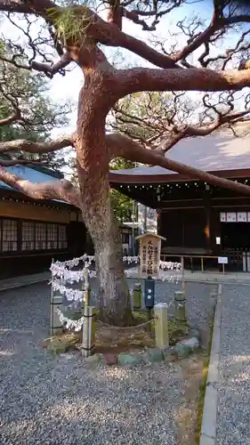尾張冨士大宮浅間神社の自然