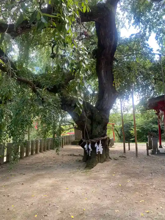 小川諏訪神社(福島県)