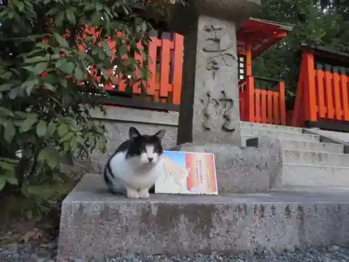 伏見稲荷大社(京都府)