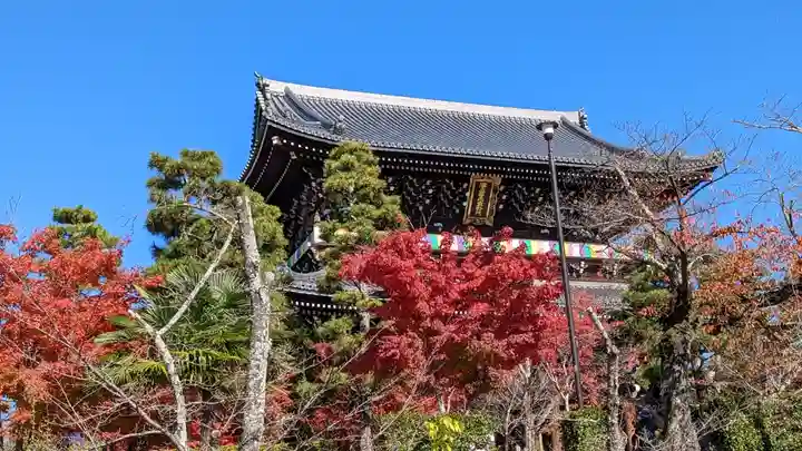 くろ谷 金戒光明寺(京都府)