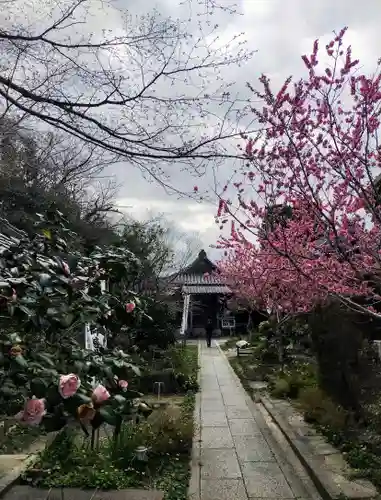 泉蔵院の庭園