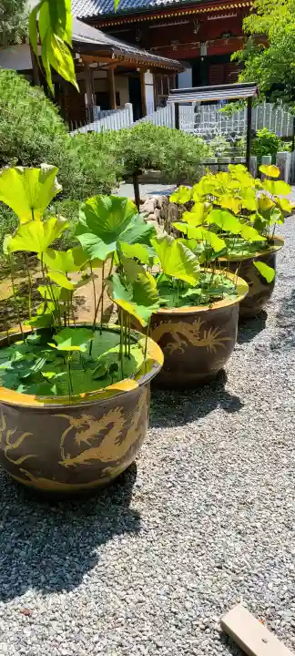 楽法寺(雨引観音)(茨城県)