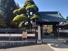 金剛寺の山門