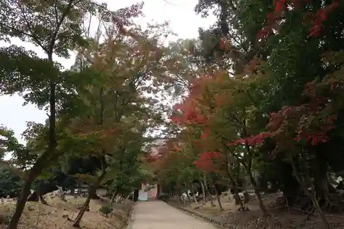 醍醐寺(京都府)