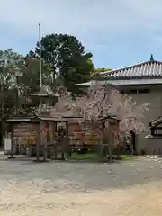 弓弦羽神社(兵庫県)