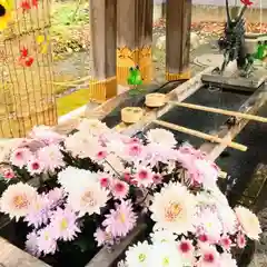 彌彦神社　(伊夜日子神社)(北海道)