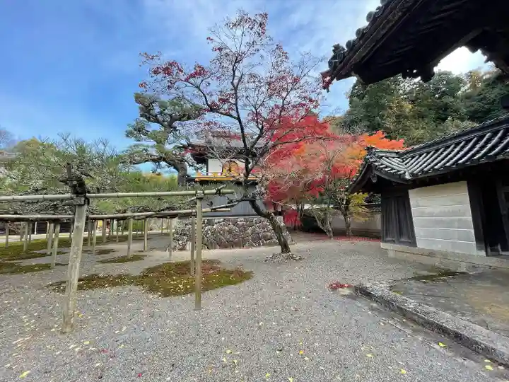 本誓寺(東本誓寺)(滋賀県)