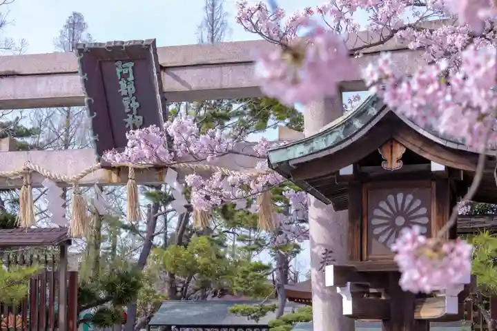 阿部野神社の鳥居