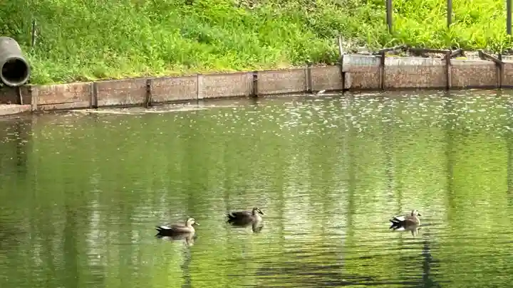 久昌寺(埼玉県)