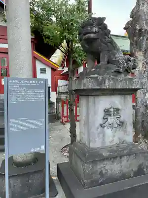 神田神社（神田明神）の狛犬