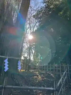 大國魂神社(東京都)