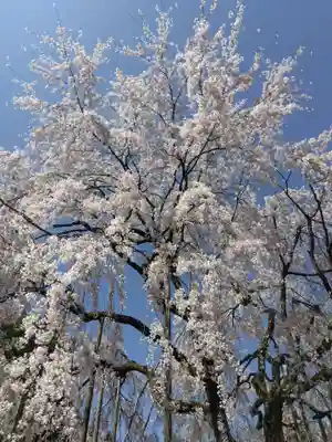 足羽神社(福井県)