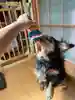 志尊のえくぼさんのプロフィール画像