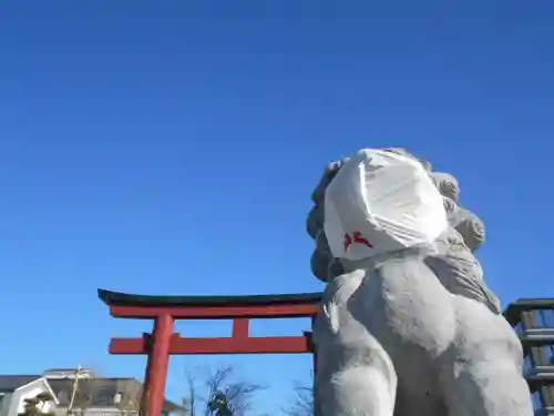鶴岡八幡宮の狛犬