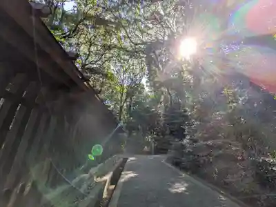 明治神宮(東京都)