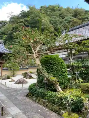 極楽寺(兵庫県)