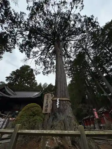 北口本宮冨士浅間神社(山梨県)