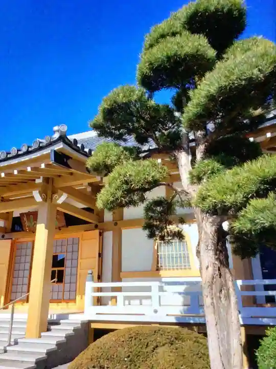 東福寺(東京都)