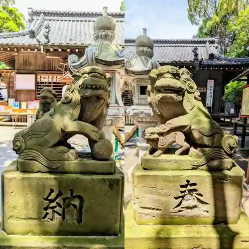 大宮・大原神社の狛犬