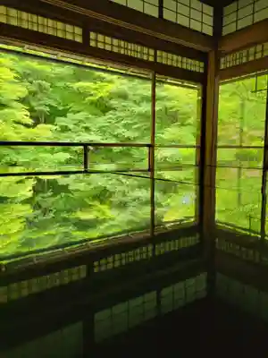 光明寺瑠璃光院(京都府)