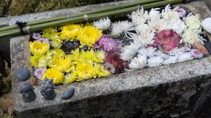宝蔵寺(京都府)