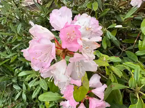 宝珠寺(山形県)