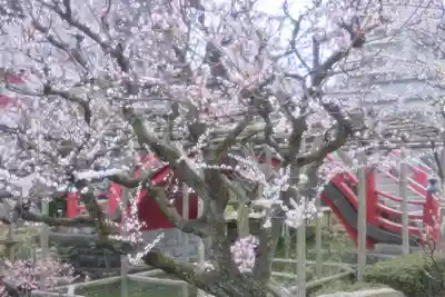 亀戸天神社(東京都)