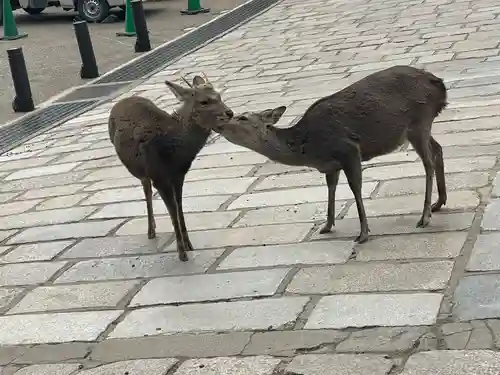 東大寺戒壇院戒壇堂(奈良県)