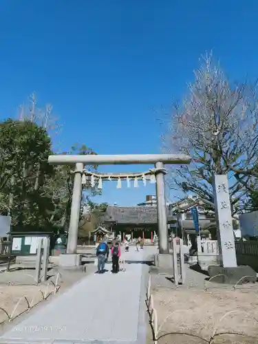 浅草神社の鳥居