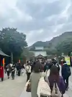 鶴岡八幡宮の初詣