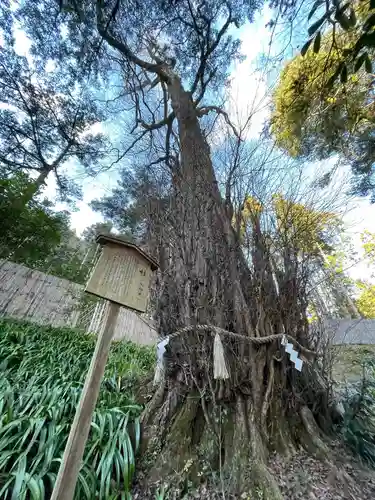 貴船神社結社(京都府)