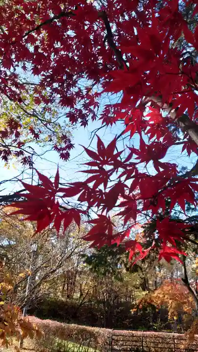 相馬神社(北海道)