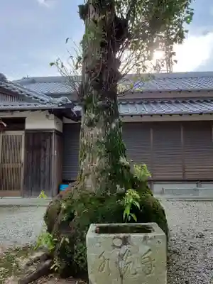 嶋姫神社の自然