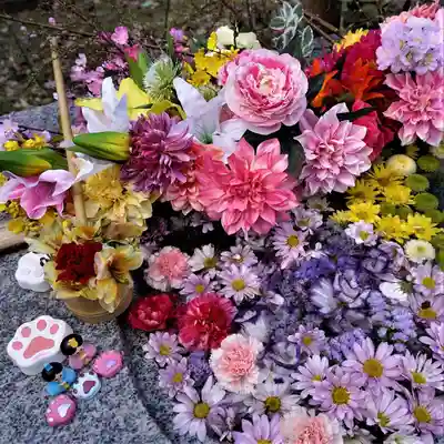 陽林寺の手水舎