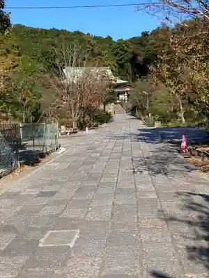 龍寳寺（龍宝寺）(神奈川県)