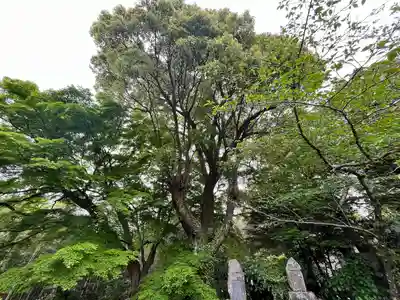 丹生官省符神社(和歌山県)
