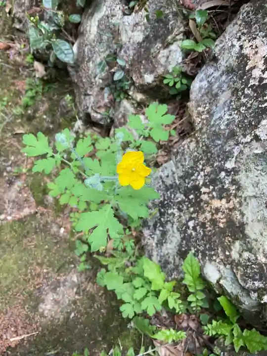 日龍峯寺(高澤観音)(美濃清水)(岐阜県)