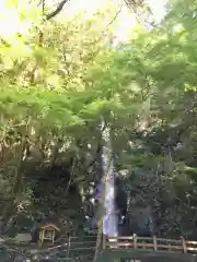 東林寺の建物その他