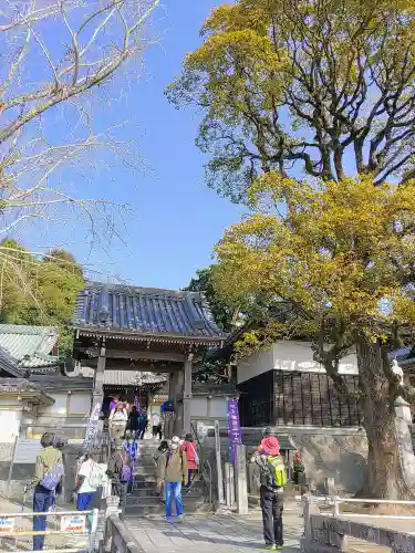 安楽寺の山門