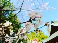 滑川神社 - 仕事と子どもの守り神の自然