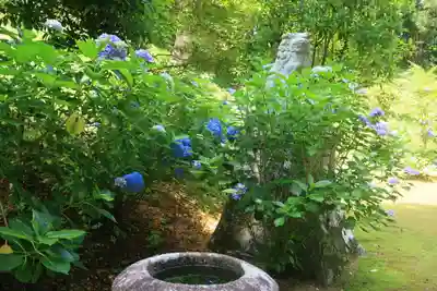 八幡神社の庭園