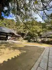 弘川寺(大阪府)