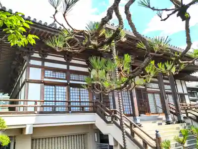 大蓮寺(宮城県)