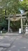 志波彦神社・鹽竈神社の鳥居