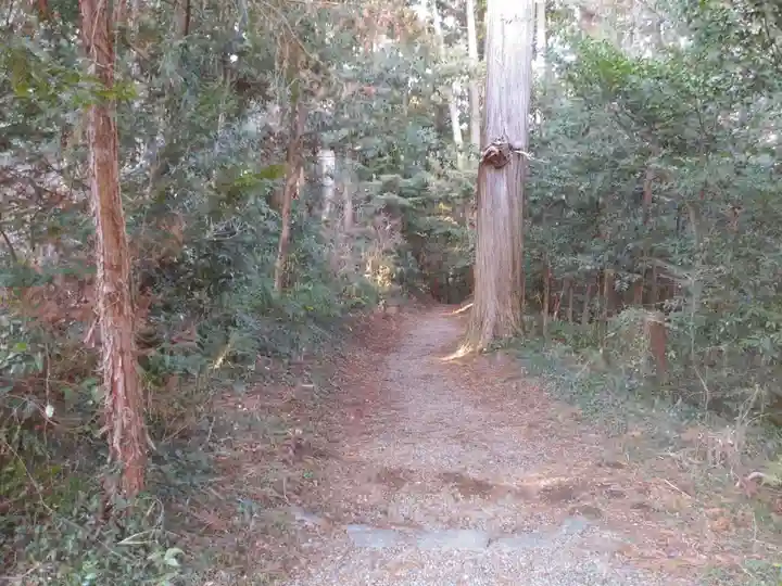 手接足尾神社の自然