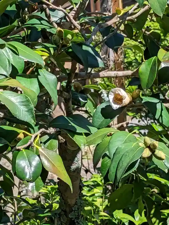 雲龍院(京都府)
