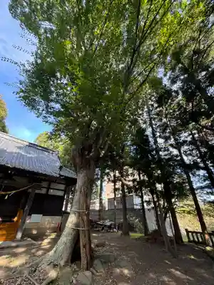 縣諏訪神社(長野県)