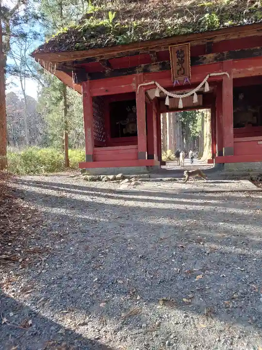 戸隠神社奥社(長野県)