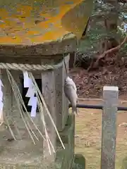 愛宕神社の末社