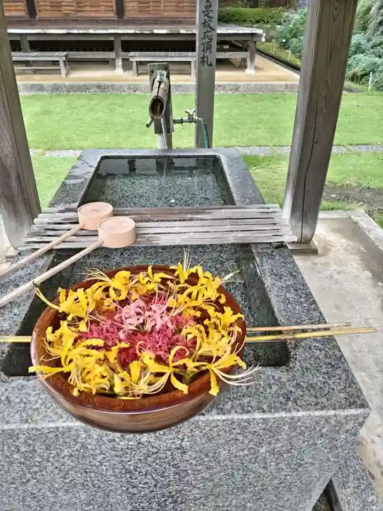 横浜 西方寺の手水舎